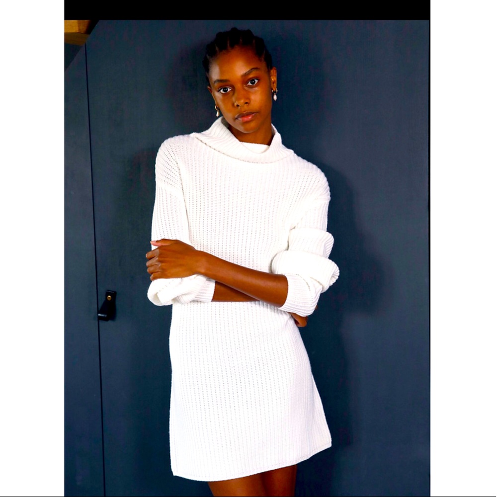 Aritzia Wilfred Montpellier Sweater Dress
